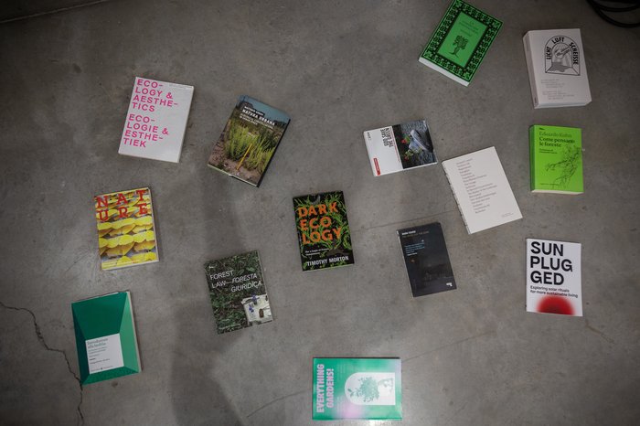 54608119123_9812cc8613_o