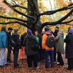 54904962357_e4852e5ef3_o