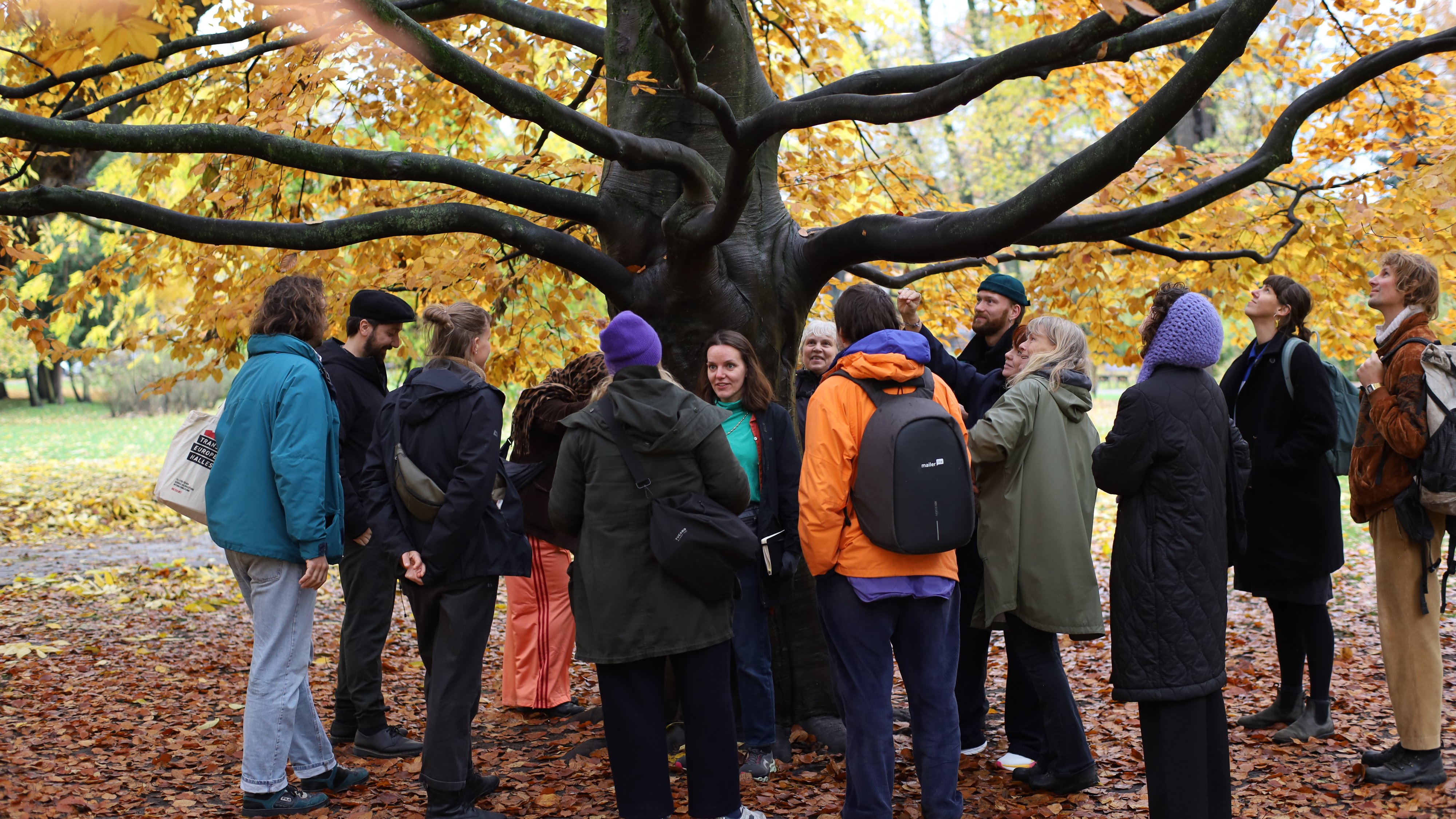 54904962357_e4852e5ef3_o