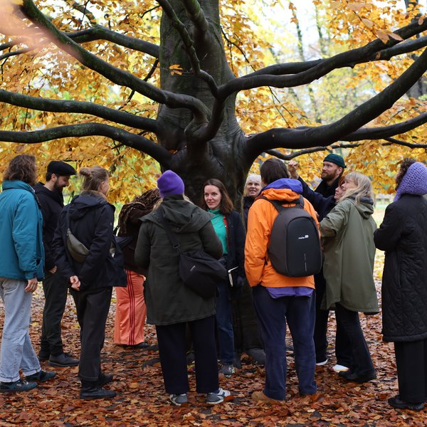 54904962357_e4852e5ef3_o