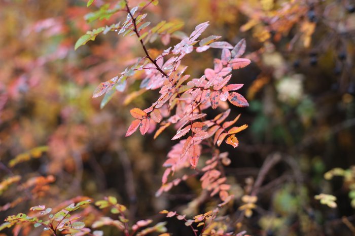 54906062668_c563011d4f_o© Martins Grauds