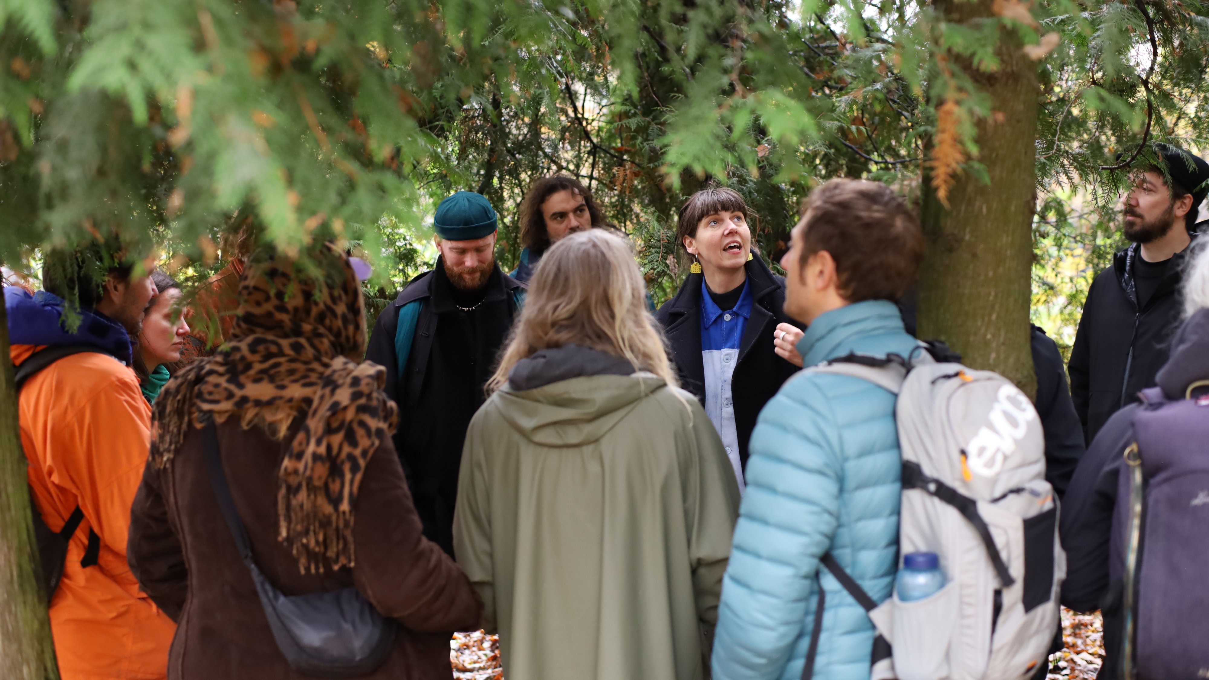 54906077044_f05f7defe6_o