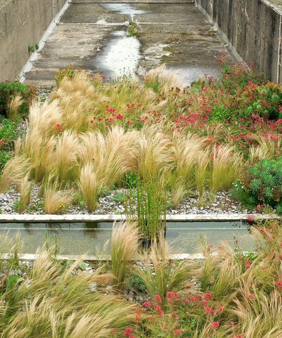 SNZ-3-F-Couy-Perrais-2011