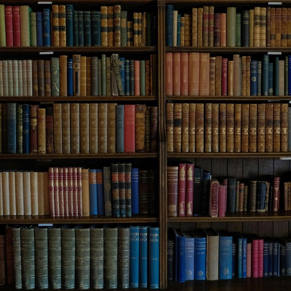 pexels-aaron-king-745296020-18670323