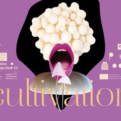 web-banner-vsechna-loga